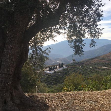 Jardin Andaluz Appart Alhambra Pinos del Valle Exteriör bild