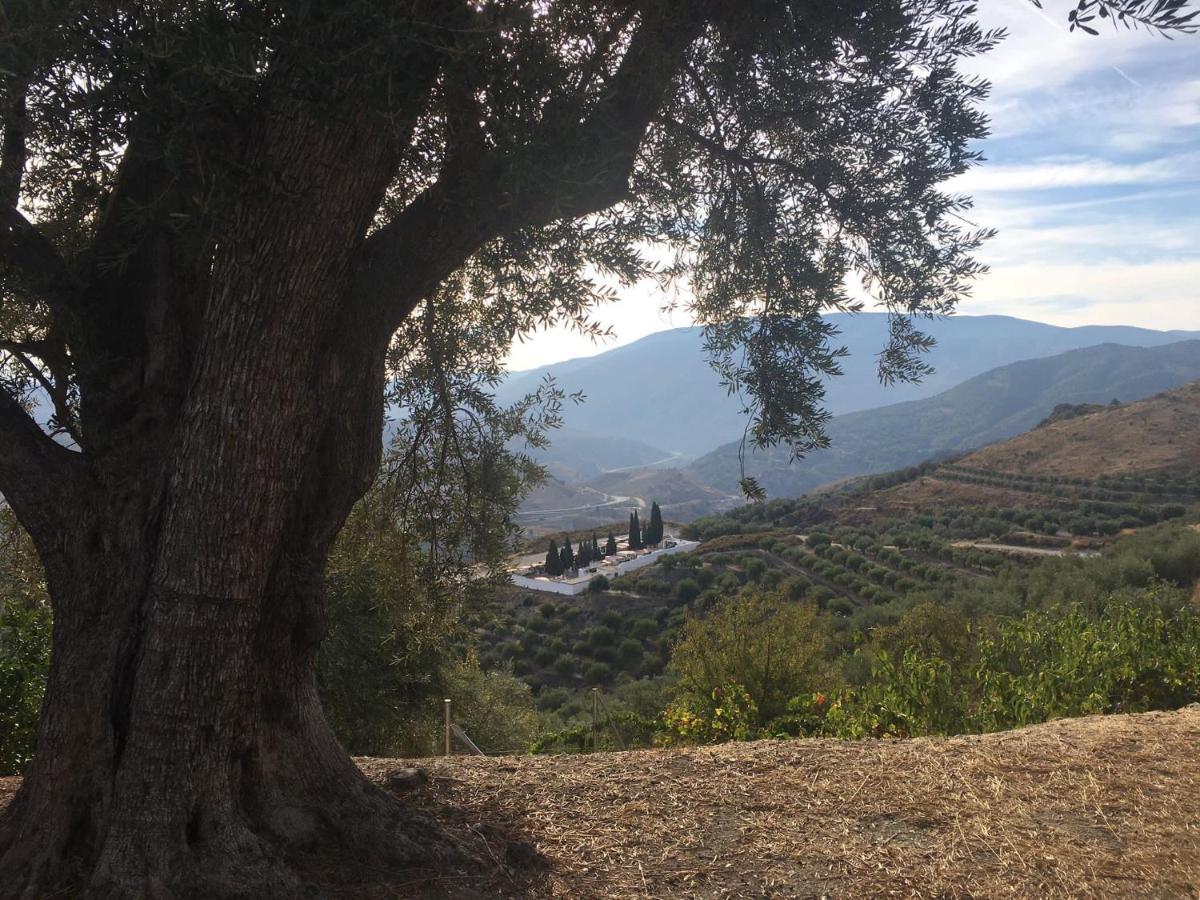 Jardin Andaluz Appart Alhambra Pinos del Valle Exteriör bild