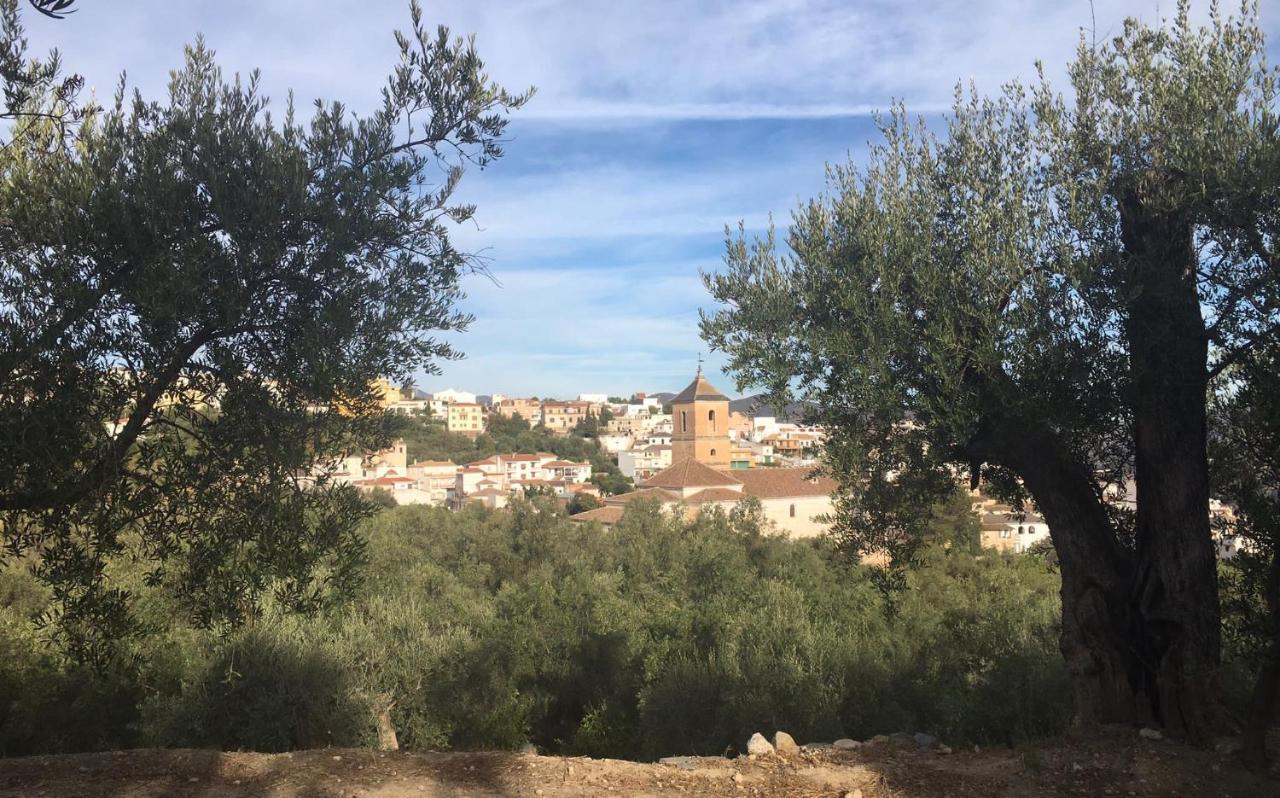 Jardin Andaluz Appart Alhambra Pinos del Valle Exteriör bild
