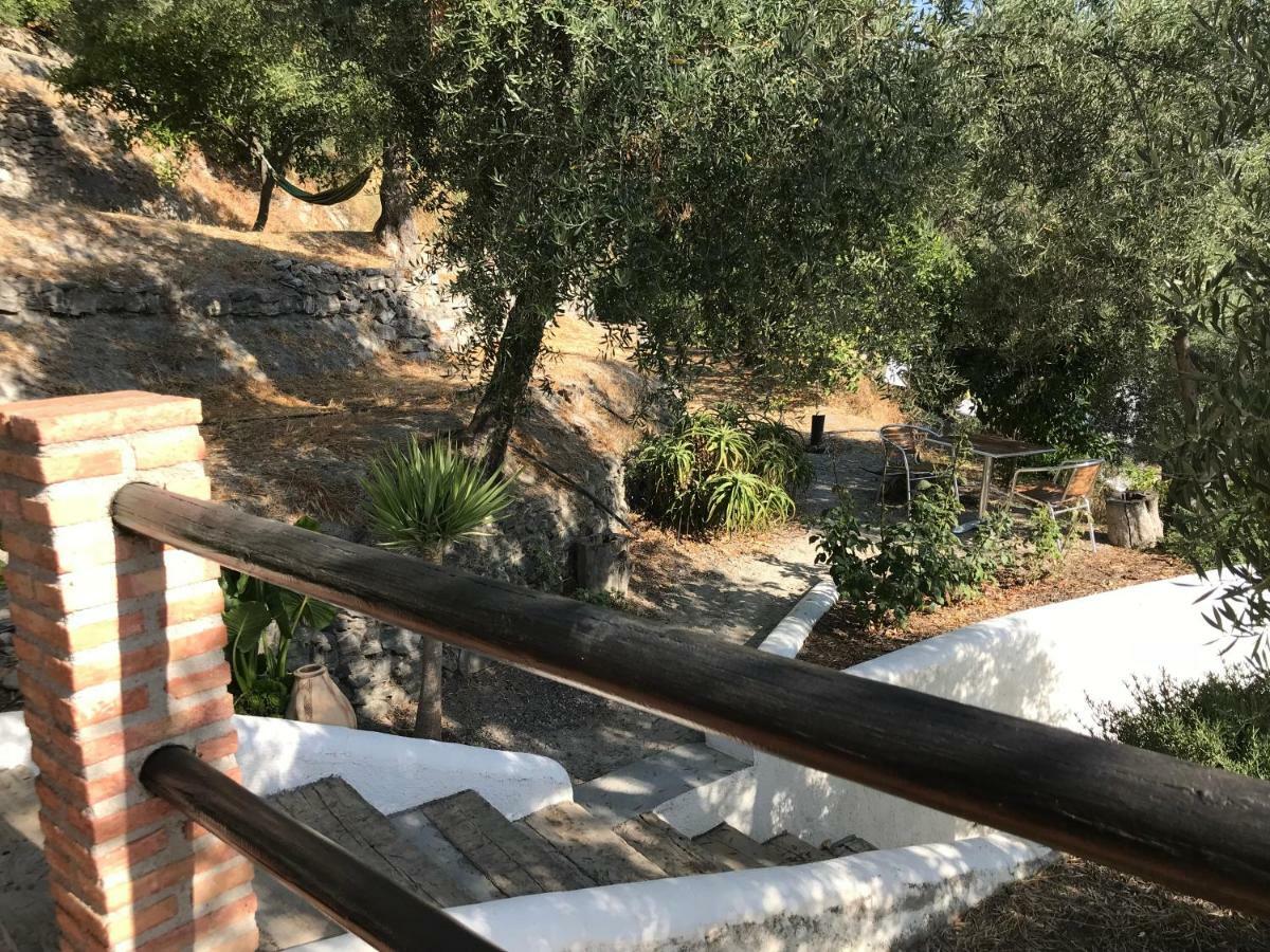 Jardin Andaluz Appart Alhambra Pinos del Valle Exteriör bild